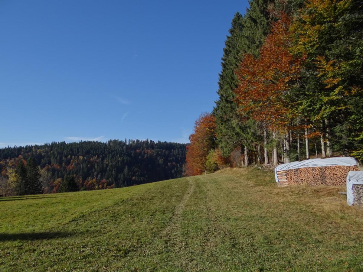 Apartments Amalia - Mit Wlan Und Sky In Traumhafter Lage Todtmoos Exterior foto