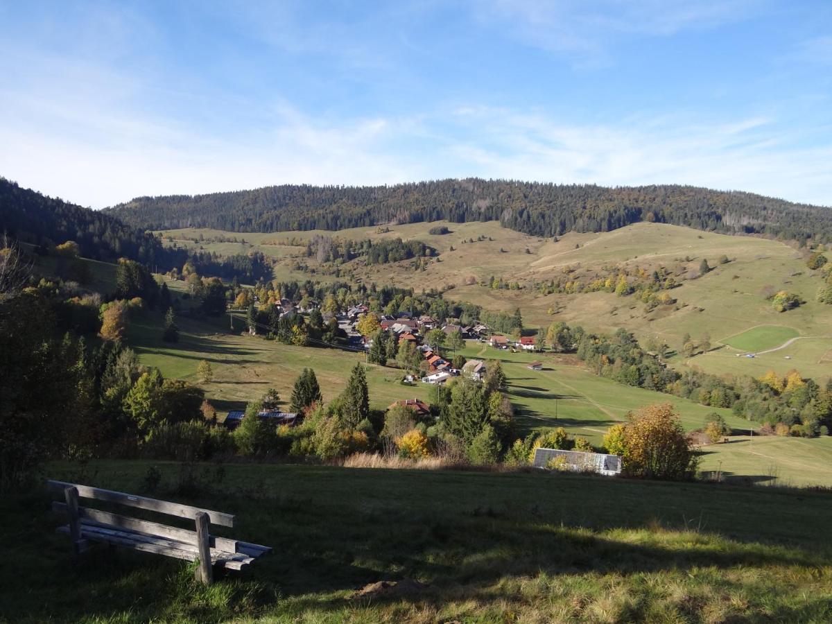 Apartments Amalia - Mit Wlan Und Sky In Traumhafter Lage Todtmoos Exterior foto