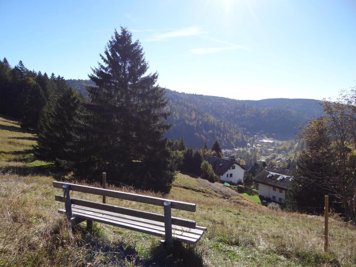 Apartments Amalia - Mit Wlan Und Sky In Traumhafter Lage Todtmoos Exterior foto
