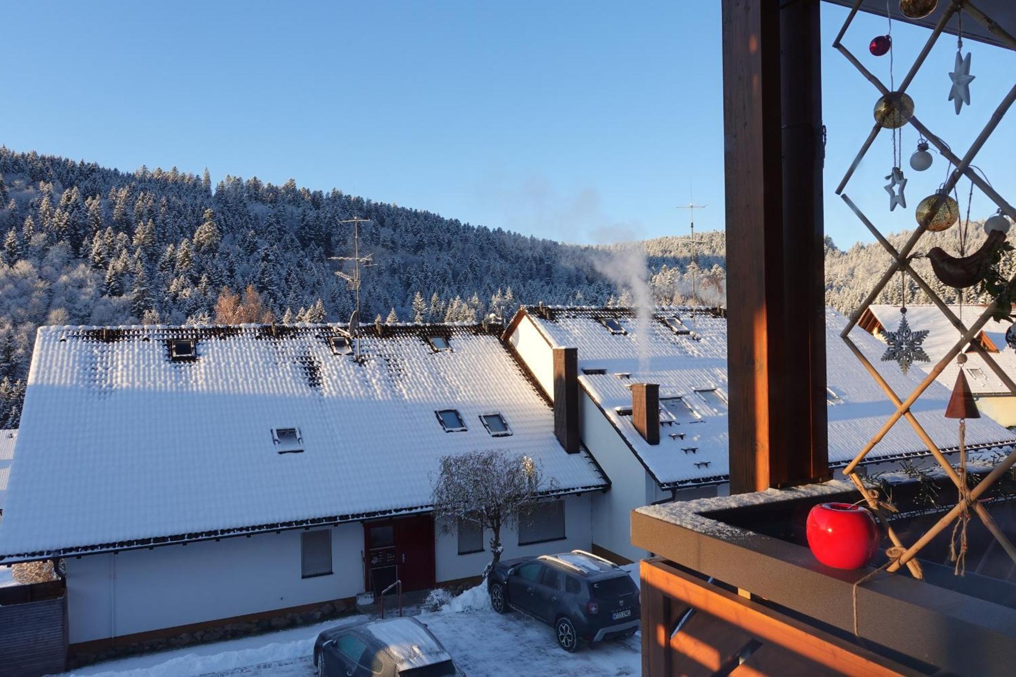 Apartments Amalia - Mit Wlan Und Sky In Traumhafter Lage Todtmoos Habitación foto